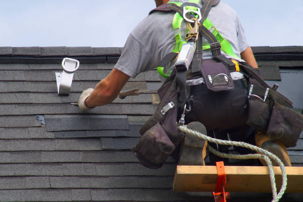Best Roof Repair Services  in Hamlin, WV
