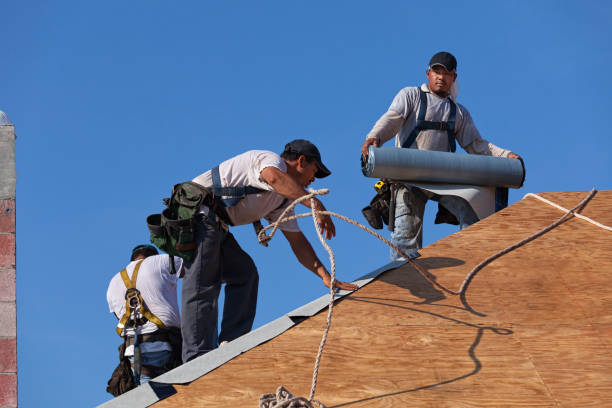 Sealant for Roof in Hamlin, WV