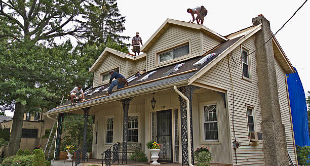 Best Slate Roofing Contractor  in Hamlin, WV