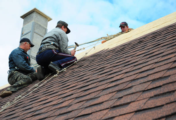 Best Roof Repair Specialists  in Hamlin, WV