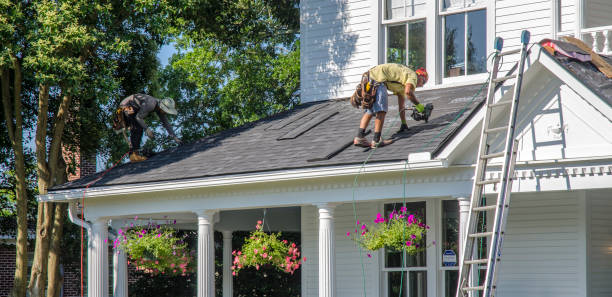Roof Gutter Cleaning in Hamlin, WV