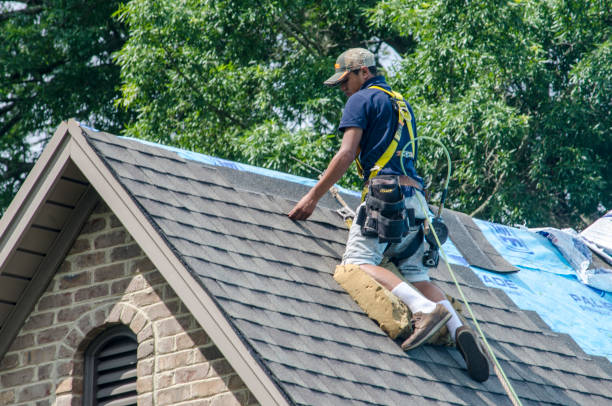 Best Best Roofing Contractors  in Hamlin, WV